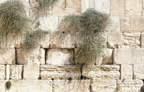 jerusalem, wailing wall, israel, religion, pray, judaism, sacred, holy, jerusalem, jerusalem, jerusalem, jerusalem, jerusalem, wailing wall, israel, israel