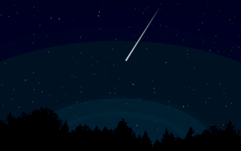 shooting star, sky, night, dark, stars, meteor, night sky, nature, starry, woods, darkness