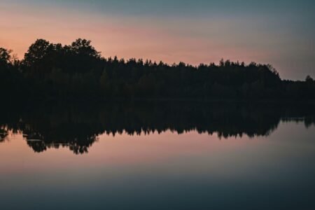 A tranquil sunset reflecting on a still lake, framed by silhouetted trees.