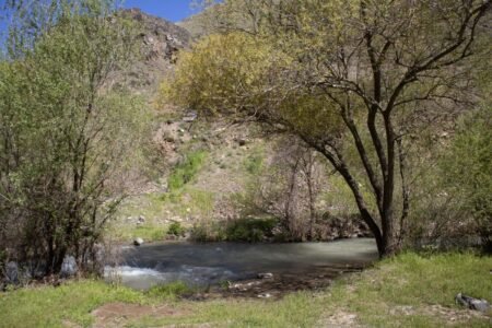 Tranquil natural landscape featuring a river lined with lush trees in Palu, Elazığ, Türkiye.