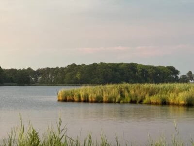 Peaceful summer scene of Rock Hall, MD with lush greenery and calm waters.