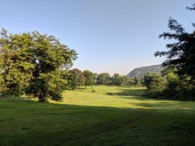 Lush green fields and trees under a clear blue sky in Ranchi, India.