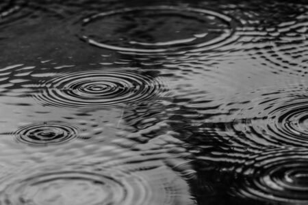 puddle, nature, water, rain, splash, monochrome