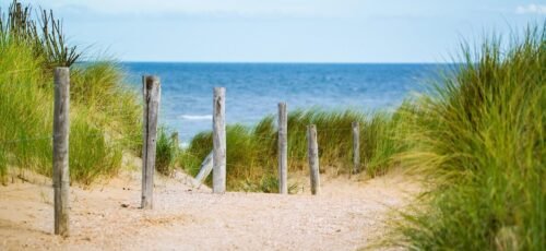 thin, sea, fence, water, vacation, north sea, nature, path, sand, beach, landscape, travel