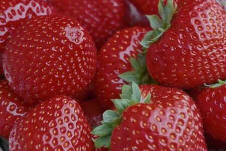 strawberries, fruit, food, berries, leaves, healthy, power supply, vitamins, biological, nature wallpaper, nature, nature background, garden, detail, tasteful, dessert, beautiful nature, fresh, harvest, easter brunch, easter, hd wallpaper